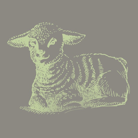 mouton de paques vert