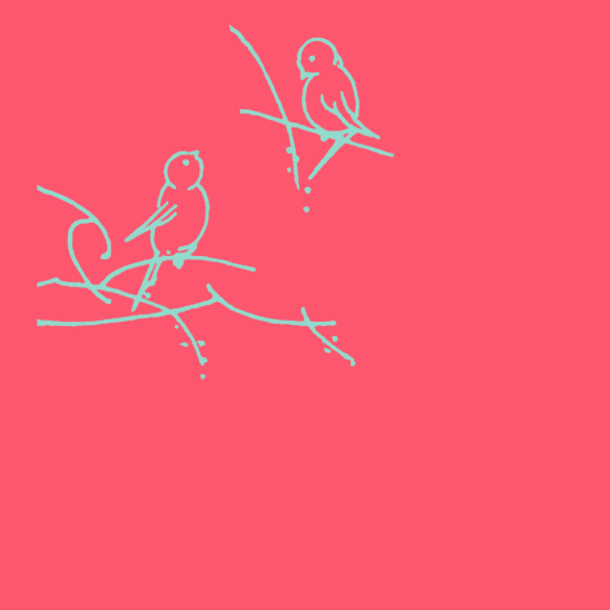 oiseaux turquoise sur fushia